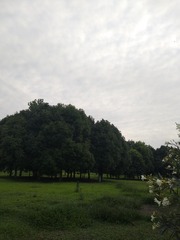 1176615