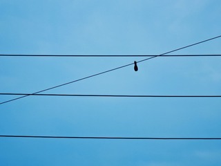 1000002813