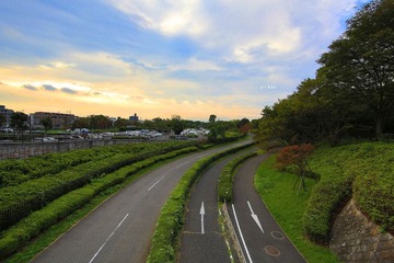 0L0C3891.jpg