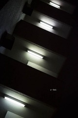 0L0C5189.jpg