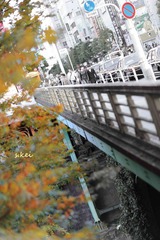 0L0C5651.jpg