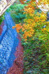 0L0C5927.jpg