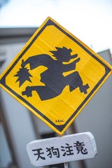 0L0C6245.jpg