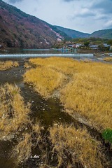 0L0C5546.jpg