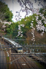 0L0C5686.jpg