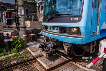 0L0C9098.jpg