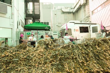 0L0C9083.jpg