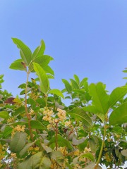 9BD7EE9B-E630-4145-BC7F-76CD209F73CA/L0/001