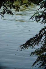 78F60EF6-5E5C-4276-86AF-56EC3CDBA5AC/L0/001
