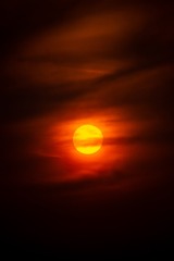 1000062616