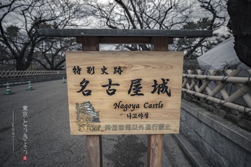 IMG_8842_1