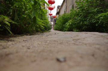 IMGP4078.JPG