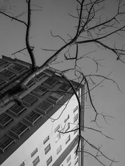 P1070582