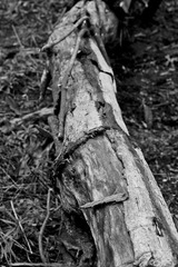 IMG_6843.JPG
