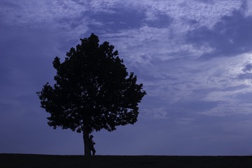 夏日清凉