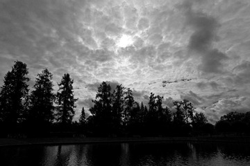 IMG_6753-2.jpg