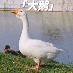 EB958616-8D4C-472E-9E1A-41212DD2D7AF/L0/001