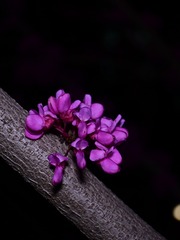 38845FAA-3937-48D4-B397-132F74D924A7/L0/001
