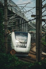 294741
