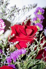 C54E2726-742A-4FC0-A632-B9E062BFCCED/L0/001