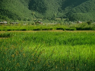5B9B177F-78FC-4E63-A11C-014D5898D3CC/L0/001