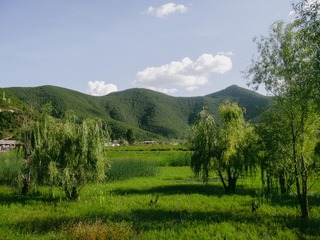 4F79CE2B-D6A9-49FE-8BF3-72D95EE21D29/L0/001