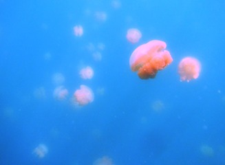 386C0E97-506B-427E-9E75-58753EEFF494/L0/001