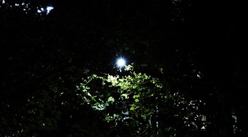 98055B13-AB6C-4A2F-BF8D-3150E8E2B767/L0/001