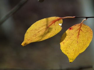 DSCF0392