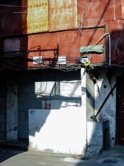 BA9495AD-6F13-4F2B-9872-0328D6023E7C/L0/001