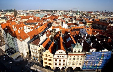 IMG_7041.jpg