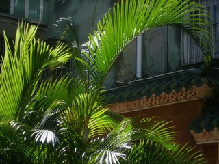 91F9006F-E9F1-4853-9B2F-87ECF5E123E6/L0/001