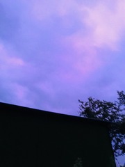 0D1F8FF7-A572-42A2-90A9-3BFCF16FADBB/L0/001