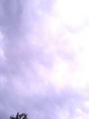 F8029F26-EF08-4BC9-9F94-9C159E5FAB27/L0/001