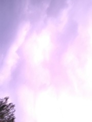 26A6076B-23DB-427F-A62E-D8D14A8C1E57/L0/001