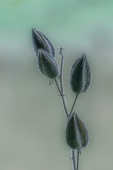 473987
