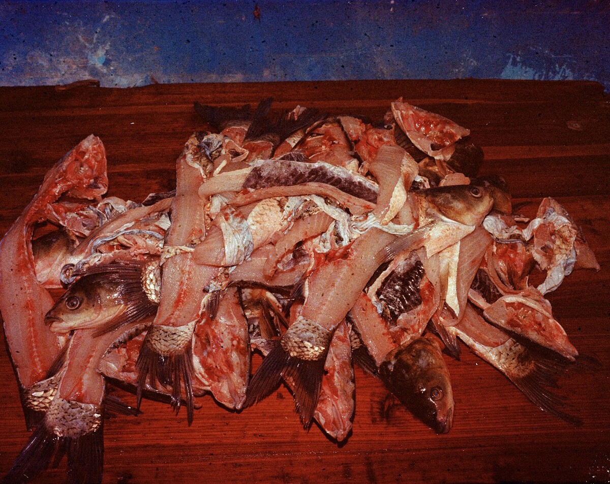 2014年，为喜事准备的鱼，肉已经用于做鱼肉丸，剩下的鱼骨用于油炸。Mamiya 7II + 85/4，过期柯达120负片。