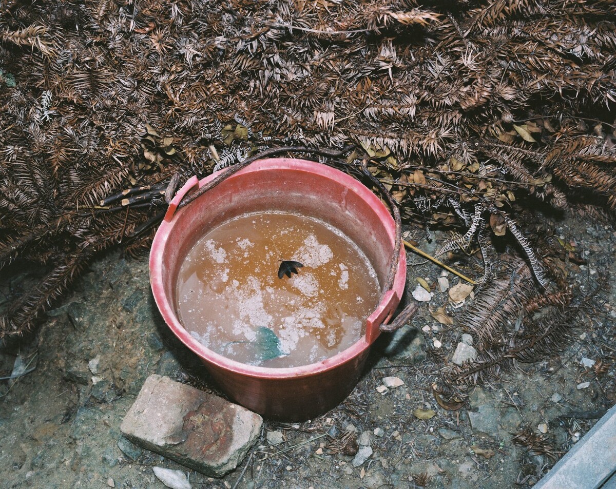 2014年，被淹没在尿桶里的蝴蝶，村民岁新建了卫生间，但还是保留在户外用尿桶储尿用以浇灌菜园的习惯。Mamiya 7II + 85/4，柯达120负片。