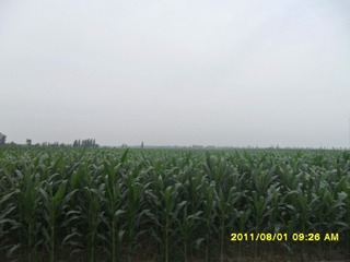 SAM_0524