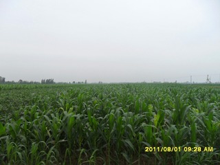 SAM_0527