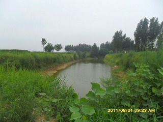 SAM_0517