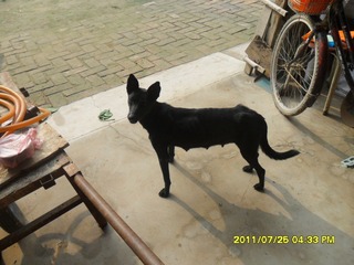 SAM_0305