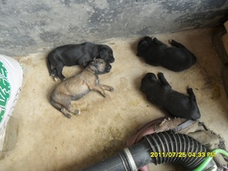 SAM_0304
