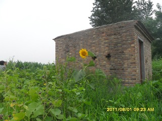 SAM_0518