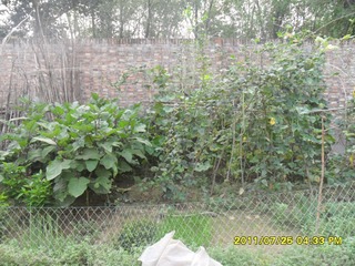 SAM_0306