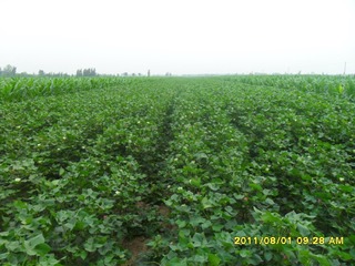 SAM_0526