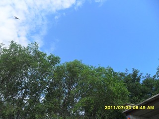 SAM_0329