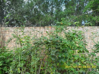 SAM_0333