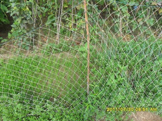 SAM_0334