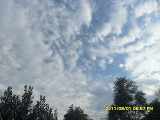 SAM_0543